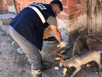 İNSAN OLMANIN YOLU YARATILMIŞ HERŞEYE SEVGI VE MERHAMET DUYMAKTIR...