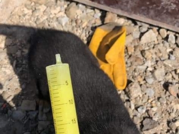 İNSAN OLMANIN YOLU YARATILMIŞ HERŞEYE SEVGI VE MERHAMET DUYMAKTIR...