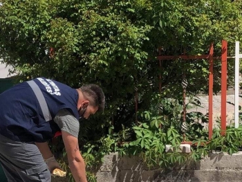 İNSAN OLMANIN YOLU YARATILMIŞ HERŞEYE SEVGI VE MERHAMET DUYMAKTIR...