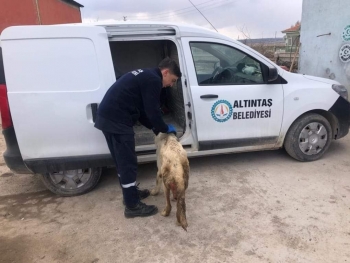 İNSAN OLMANIN YOLU YARATILMIŞ HERŞEYE SEVGI VE MERHAMET DUYMAKTIR...
